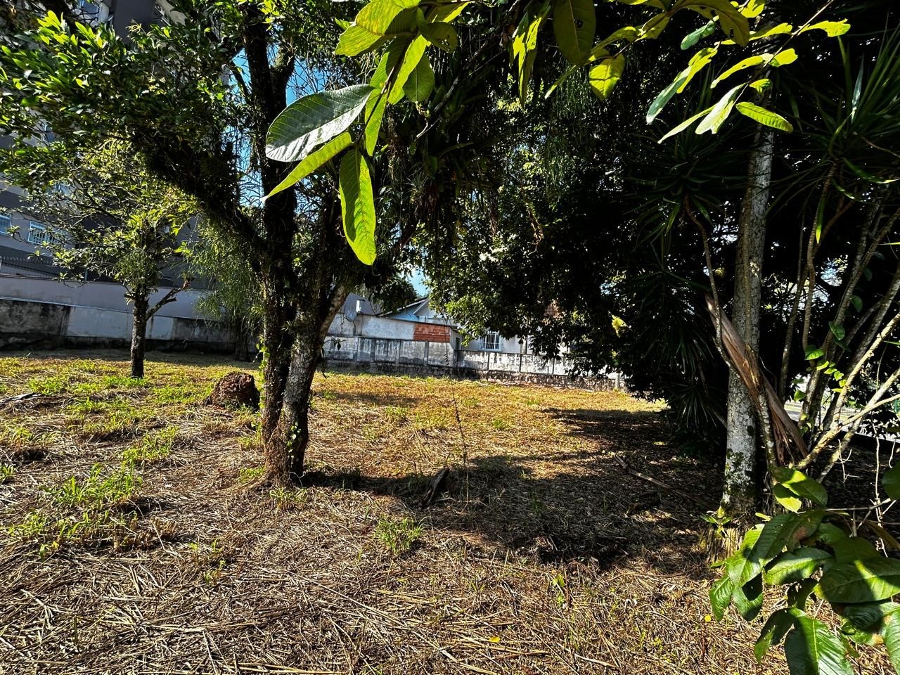 Terreno em Saguaçu · Joinville