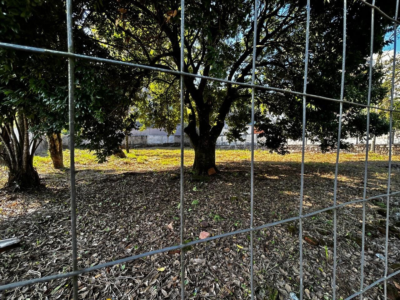 TERRENO SAGUAÇU em Saguaçu — foto 5