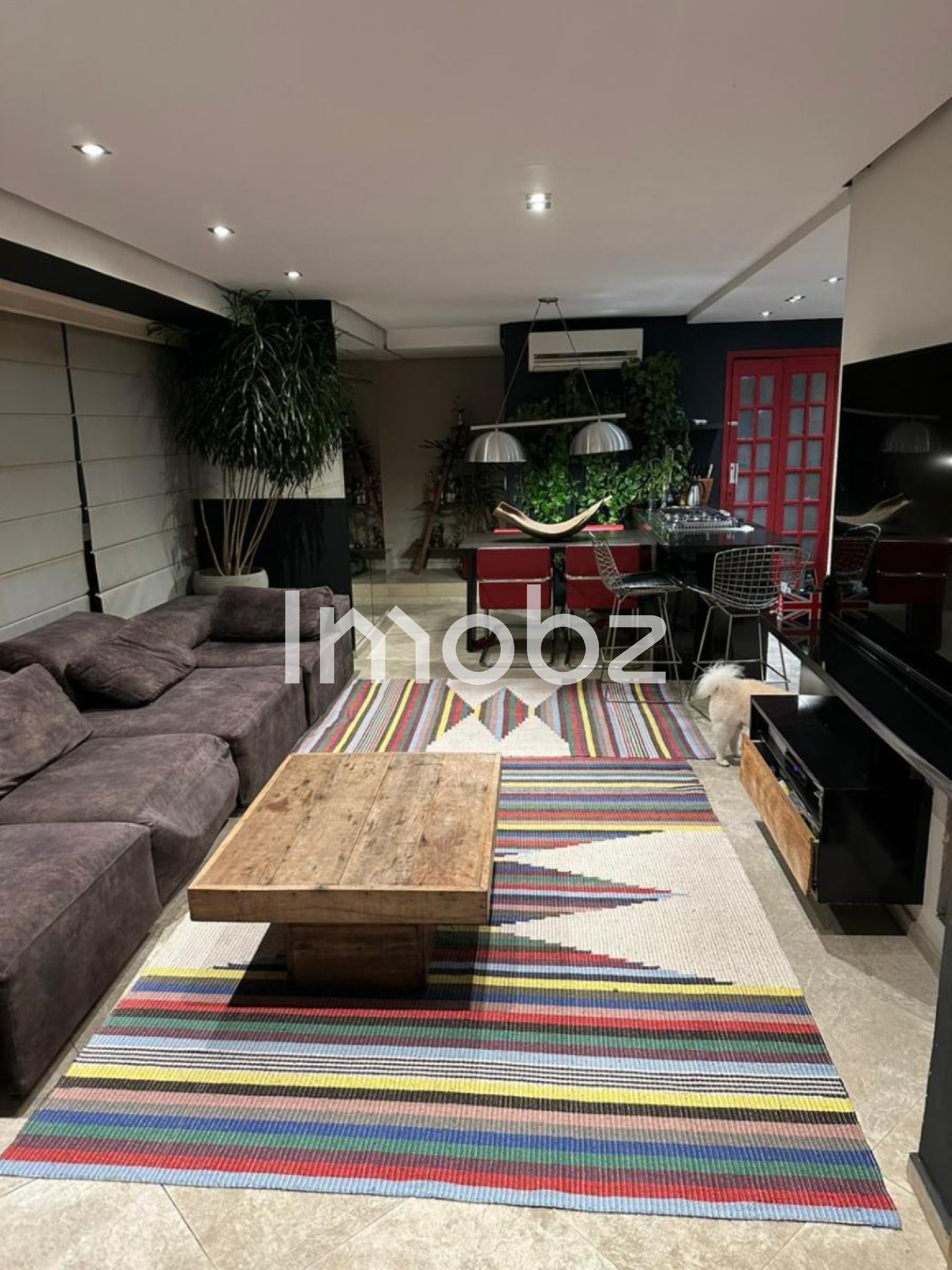Foto 02